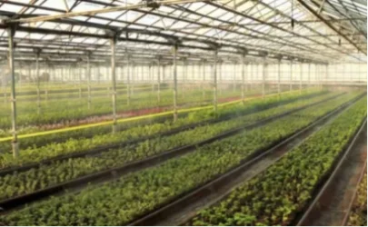 «Կանաչապատում և շրջակա միջավայրի պահպանություն» ՀՈԱԿ-ն այս տարի կունենա 20 հա տարածքով տնկարան