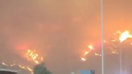 ՏԵՍԱՆՅՈՒԹ. Չիլիում անտառային ուժգին հրդեհներ են. կան զոհեր