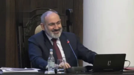 ՏԵՍԱՆՅՈՒԹ.  «Անտառ չմտնեք, գայլը մեզ կուտի». վարչապետ