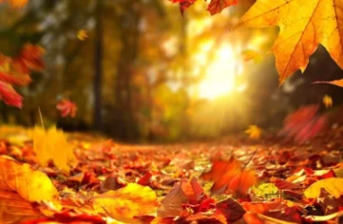 Առաջիկա օրերի եղանակը