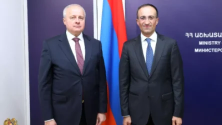 ՌԴ–ից արցախցիներին ուղղվող օգնությունը պետք է համակարգվի մեզ հետ. Թորոսյան