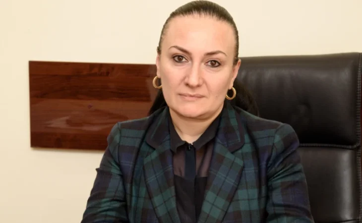 Մանկավարժական համալսարանի ռեկտորը չի կալանավորվի