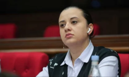 Ենթադրյալ հանցագործները փրփուրներից են կախվել. Պալյանը անդրադարձել է Գյումրիի ձերբակալություններին