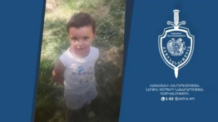 Ծափաթաղ գյուղում 3-ամյա Տիգրանը տան մոտակայքից է կորել