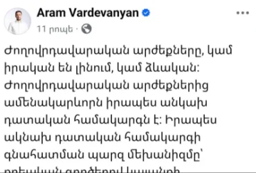Քաղաքական հետապնդման նման փորձ որևէ երկրում երբևէ չի եղել․ Արամ Վարդևանյան