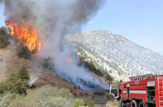 ՆԳՆ-ն՝ «Խոսրովի անտառ» պետական արգելոցում բռնկված հրդեհի մասին. մանրամասներ