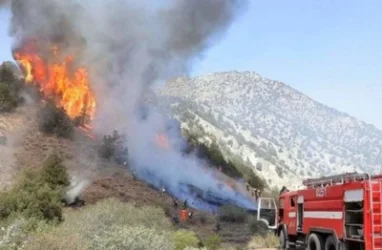 ՆԳՆ-ն՝ «Խոսրովի անտառ» պետական արգելոցում բռնկված հրդեհի մասին. մանրամասներ