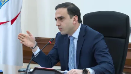 Գնացե՛ք, ջրե՛ք այգին, որովհետև հետո մենք ենք պատասխան տալու․ Ավինյան