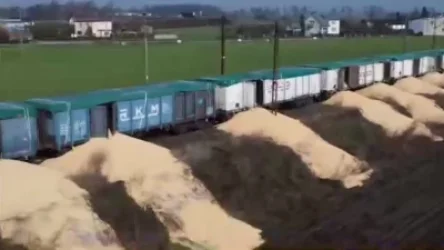 ՏԵՍԱՆՅՈՒԹ. Լեհերը գետնին են դատարկել ուկրաինական հացահատիկով ութ վագոն