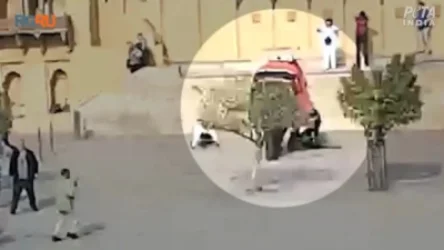 ՏԵՍԱՆՅՈՒԹ. Հնդկաստանում կատաղած փիղը կնճիթով բռնել է ռուս զբոսաշրջիկին և գցել գետնին