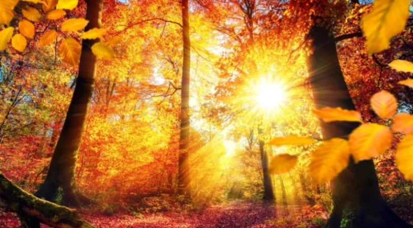 Առաջիկա 4 օրվա  եղանակի կանխատեսում