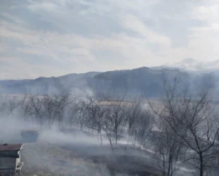 ԼՈՒՍԱՆԿԱՐՆԵՐ. Հրդեհ` Մալիշկա գյուղում