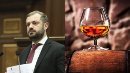 Իրավիճակի կառավարումը մեր ձեռքից բաց ենք թողնելու, եթե չկարողանանք ստեղծել իզոտոպային լաբորատորիան. Պապոյան