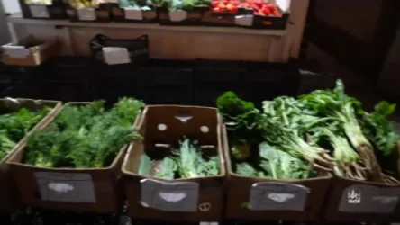 Հայտնաբերել է մի շարք իրավախախտումներ՝ առևտրի և ծառայության ոլորտներում