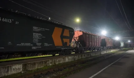 Հայաստան ներկրված ղազախական ցորենն անվտանգ է. ՍԱՏՄ