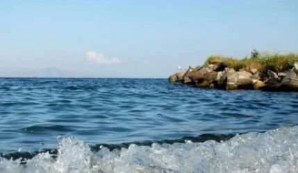 Սևանա լճի մոտակայքում դի է հայտնաբերվել