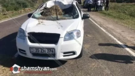 Բեռնատարից խոտի հակերը թափվել և վնասել են հանդիպակած երթևեկող Chevrolet-ը. կա վիրավոր