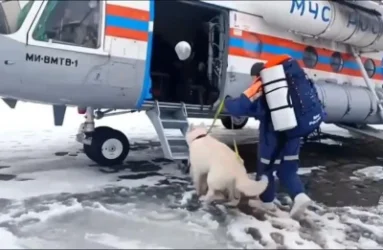 ՏԵՍԱՆՅՈՒԹ․ Մի խումբ զբոսաշրջիկներ մնացել են ձնահյուսի տակ․ ՌԴ