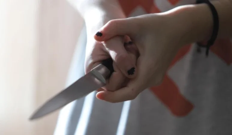 Երևանում աղջիկը դանակահարել է ընկերոջն, ով հարվածներ էր հասցրել նրան