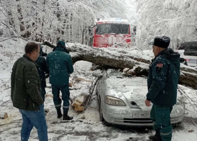Ծառն ընկել է «Opel» մակնիշի ավտոմեքենայի վրա․ մանրամասներ