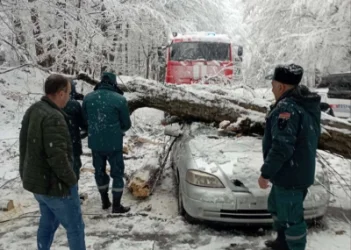 Ծառն ընկել է «Opel» մակնիշի ավտոմեքենայի վրա․ մանրամասներ