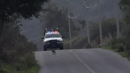 ԱՄՆ-Մեքսիկա սահմանին զինվորական հագուստով դիակներ են հայտնաբերվել․ ԶԼՄ