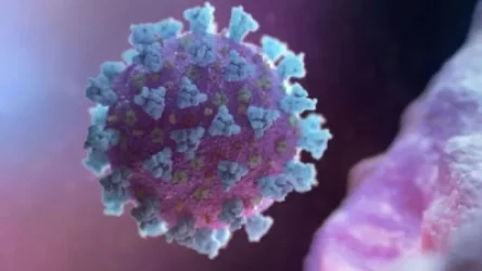 Կորոնավիրուսի այս նոր տեսակն աճում է ավելի արագ, քան մինչ այժմ հայտնաբերված մյուս բոլոր տեսակները