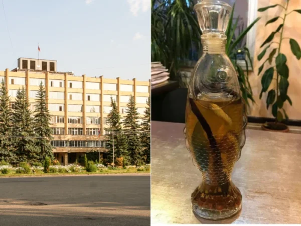 Հրազդանի քաղաքապետարանը միլիոնների պարտք ուներ․ սենյակում՝ 1,5 միլիոնանոց աթոռներ, խմիչք․ Լիլիթ Ստեփանյան