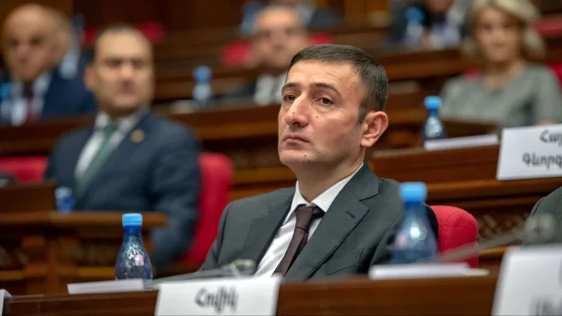 «Հավասարակշռված և ամեն ինչ հաշվի առնող որոշում է». Թունյան