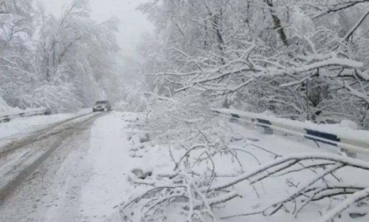 Դիլիջանի ոլորաններում և Շիրակի մարզում ձյուն է տեղում