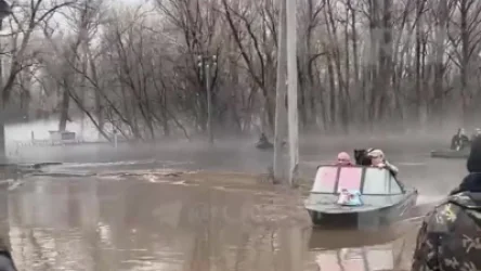 ՏԵՍԱՆՅՈՒԹ. Ինչպես են Օրենբուրգում ջրհեղեղից փրկում կենդանիներին. իրավիճակը գնալով վատանում է