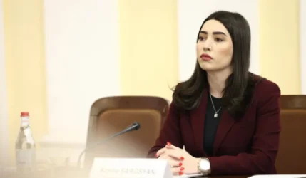 ՀՀ-ում շարունակում են գերակշռել կենցաղային բնույթի սպանությունները. Արփինե Սարգսյանը ցուցանիշներ է ներկայացրել