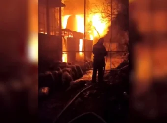 ՏԵՍԱՆՅՈՒԹ․ Հրդեհ՝ կենդանաբանական այգում․ սատկել Է այգու ավելի քան 200 բնակիչ․ ՌԴ