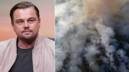 Երկիր մոլորակի «թոքերն» այրվում են. Դի Կապրիոն 5 մլն դոլար կտրամադրի Ամազոնի հրդեհները մարելու համար
