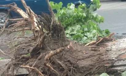 ՏԵՍԱՆՅՈՒԹ. Հերթը հասավ Սևան քաղաքին. մայթերի բարեկարգման քողի տակ ավիրում են. ահազանգ