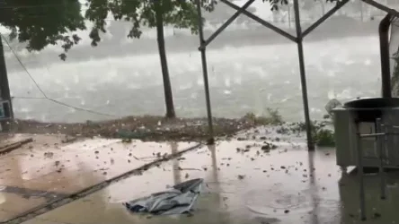 ՏԵՍԱՆՅՈՒԹ. Կոկոսի չափերին հասնող կարկուտ է տեղացել Չինաստանում