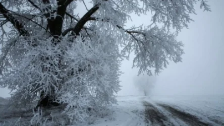 Լեռնային գոտիներում սպասվում է բուք. եղանակը ՀՀ-ում