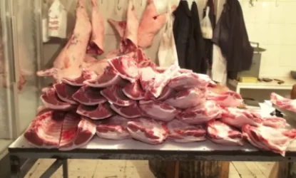 Կատվի համտեսած մսի ողջ խմբաքանակը ոչնչացվել է