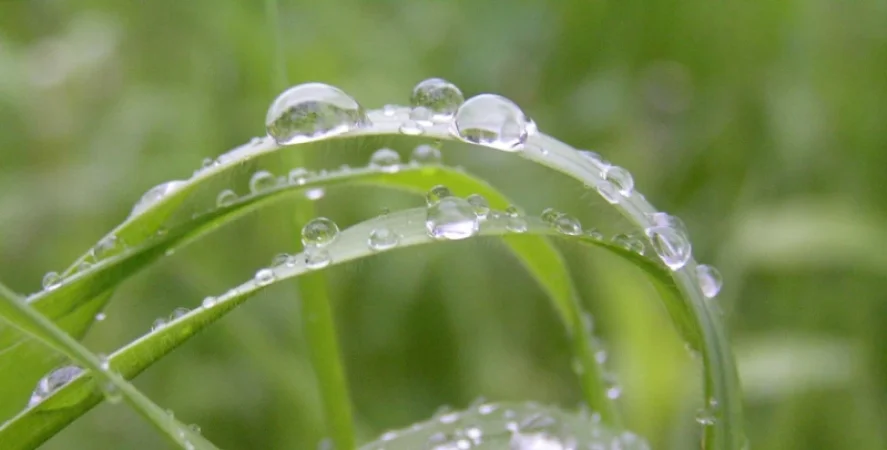 Ինչ եղանակ սպասել առաջիկա օրերին