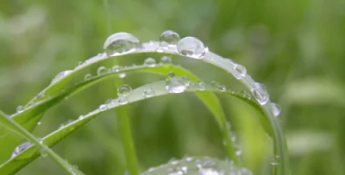 Ինչ եղանակ սպասել առաջիկա օրերին