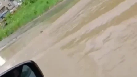 ՏԵՍԱՆՅՈՒԹ․ Տեղատարափ անձրևները «ծածկել են» Ռուսաստանի կենտրոնական շրջանները