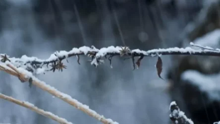 Լեռնային և նախալեռնային շրջաններում սպասվում է ձյան ծածկի ավելացում 40-50 սմ-ով. ի՞նչ եղանակ է սպասվում