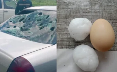 ԼՈՒՍԱՆԿԱՐՆԵՐ. Ձվի չափ կարկուտ` Գորիսում. ծաղկող այգիներն ու հասունացող բերքը հողին է հավասարեցվել