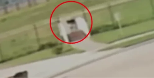 ՏԵՍԱՆՅՈՒԹ․ Տղամարդը պnրտալարnվ նnրածնին թnղել է դրuում՝ nւժեղ արևի տակ․ ԱՄՆ