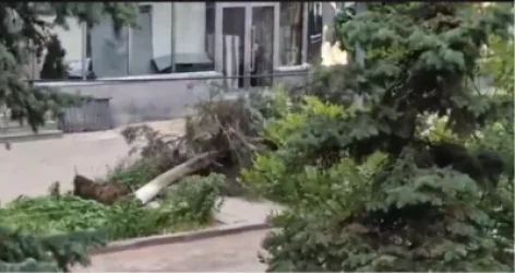 Ծառի ընկնելու հետևանքով Վանաձորում վնասվել է ցածր ճնշման գազատար