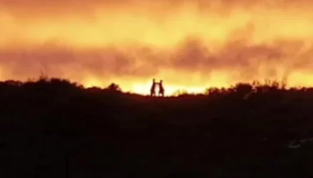 ՏԵՍԱՆՅՈՒԹ․ Տղամարդը նկարահանել է մայրամուտը, սակայն տեսանյութում հայտնվել է նաև 2 կենգուրուների կռիվը․ Ավստրալիա