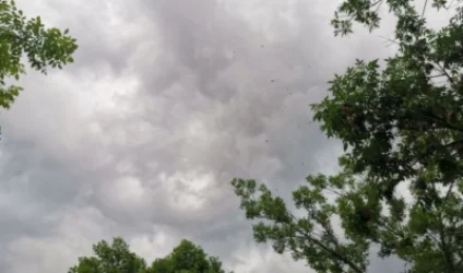 Սպասվում է քամու ուժգնացում. եղանակը ՀՀ-ում