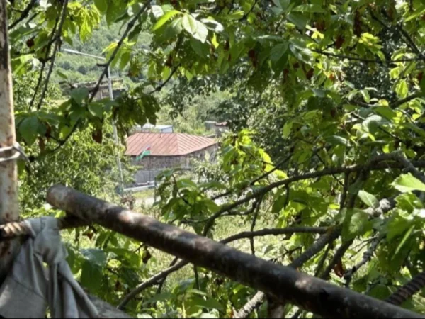 ԼՈՒՍԱՆԿԱՐՆԵՐ. Շուռնուխցի տիկին Անահիտի տան մոտ ծածանվում է թշնամու դրոշը