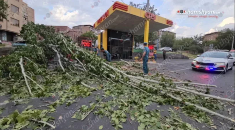 Հրաչյա Քոչար փողոցում տապալվել է հսկայական բարդի. կա վնասված ավտոմեքենա