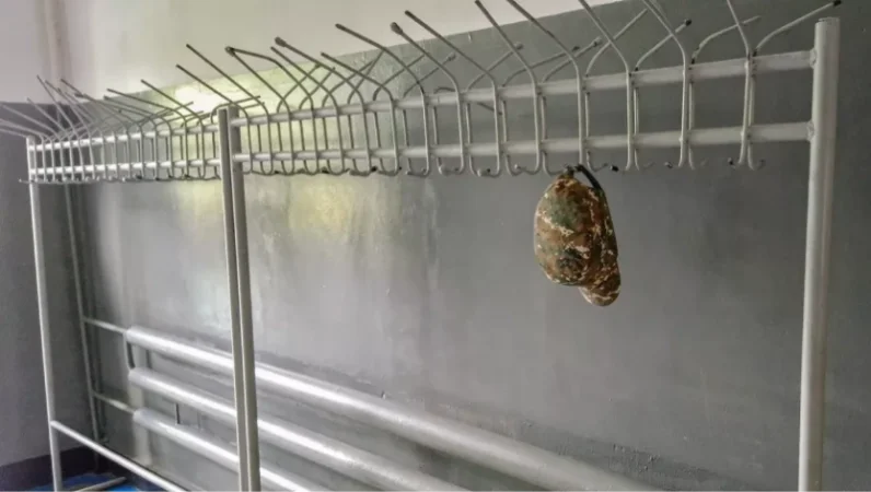 Այսօր մահացած զինծառայողը մորն օգնելու համար էր մեկնել ծառայողության․ նա տան ավագ զավակն էր